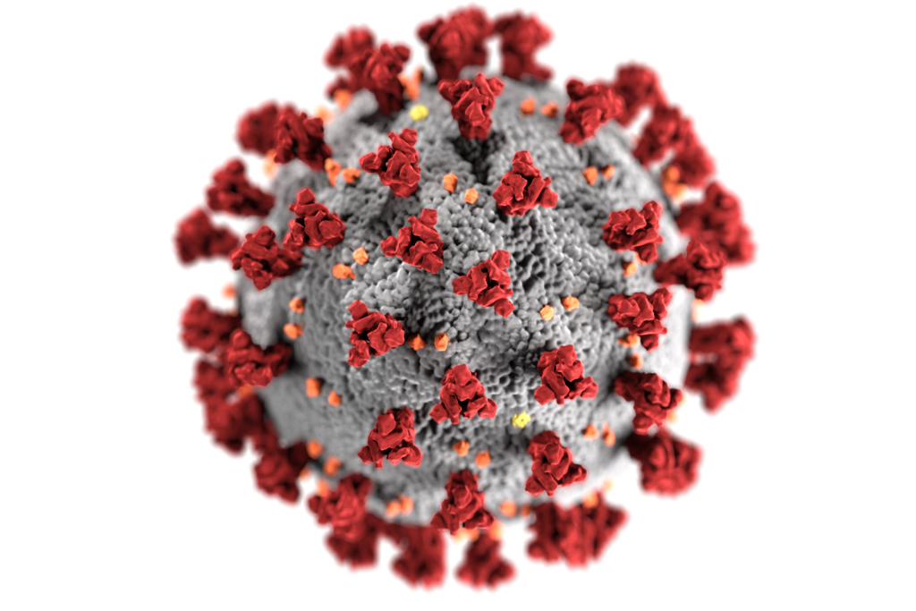 Innosuisse funding new RocketVax coronavirus vaccine